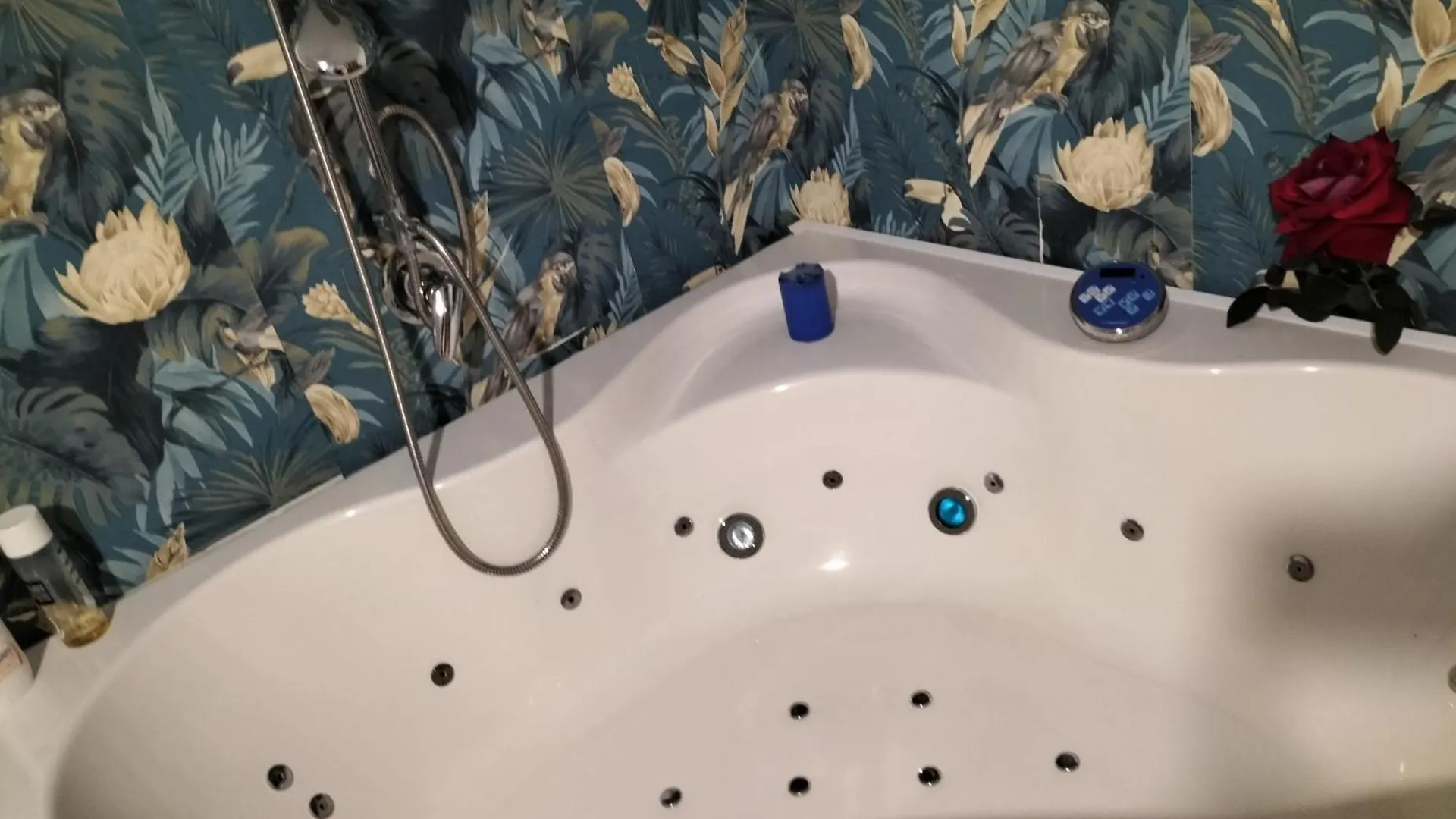 Villa Nadya E Spa Palermo Guest house